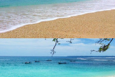Keindahan Tersembunyi di Pantai Kaur, 8 Destinasi Wisata Menakjubkan yang Wajib Dikunjungi!
