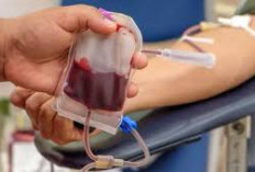 Mengapa Donor Darah Penting? Ini 5 Manfaat Meningkatkan Kesehatan Pembuluh Darah Melalui Donor Darah