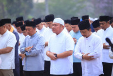 Karhutla Sumsel Capai 1.950 Hektare