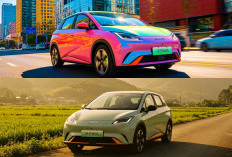 Pesaing Baru Wuling Air EV: BYD Racco, Mobil Listrik Kecil Lincah Dibanderol Harga Terjangkau Rp 320 Jutaan