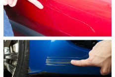 Cat Mobil Terancam Rusak? Begini Cara Menghilangkan Baret dan Noda Getah Pohon!