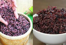 Resep Ketan Hitam Legit dan Lembut, Rahasia Cara Membuatnya Agar Pulen dan Tidak Keras Terbaru 2026!