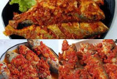 Yuk Cobain Resep Ikan Kembung Goreng Sambal Lauk Makan Praktis?