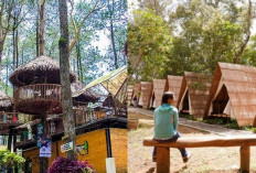 Petualangan Seru di Wisata Kopeng Salatiga, Dari Treetop Adventure hingga Glamping!