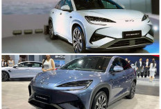 Komparasi BYD Sealion 7: Selisih Rp90 Juta, Mana yang Lebih Layak Dipilih, Varian Range atau Performance?