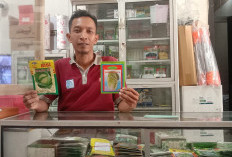 Toko Tani Subur Hadirkan Bibit Unggul