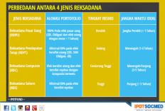 ini  Sejarah Munculnya Investasi Reksadana, Dari Inovasi Finansial Hingga Investasi Populer