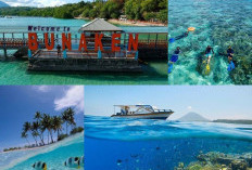 Bunaken Diberi Gelar Situs Warisan Dunia UNESCO. Keindahan Wisata Bahari Tak Tertandingi