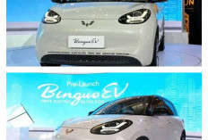 Mobil Listrik Kerap Mengurangi Daya Sendiri, Tanda Sistem Proteksi Bekerja Normal dan Bukan Kerusakan