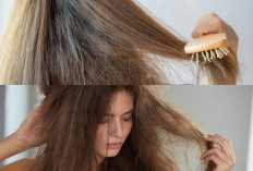 Tak Perlu Khawatir Ladies! Ini 5 Tips Solusi Untuk Menghindari Rambut Mengembang