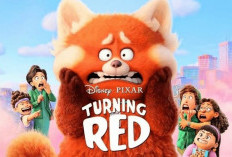 Film Turning Red: Kisah Gadis yang Dikutuk Menjadi Panda Merah