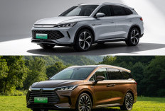 Beda Rp90 Juta, BYD Sealion 7 Tawarkan Pilihan SUV Listrik Jarak Jauh atau Performa 523 HP yang Menggoda