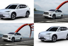 Hybrid vs Listrik: 6 Perbandingan Penting Mobil Ramah Lingkungan yang Perlu Kamu Ketahui!