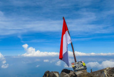 Gunung Arjuno: Jelajahi 4 Jalur Legendaris Menuju Puncak Kedua Tertinggi di Jawa Timur