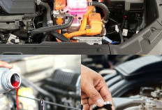Ini Dia Dampak Telat Ganti Cairan pada Mobil Listrik yang Wajib Kalian Ketahui! 