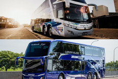 Mengapa Bus Mewah Menjadi Pilihan Favorit Perjalanan Jarak Jauh?