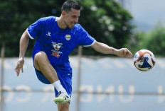 Persib Bandung Tanpa Thom Haye Saat Hadapi Madura United