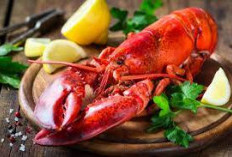 Apakah Lobster Itu Sehat? Ini 5 Lobster Dalam Hidangan Istimewa Kelezatan Laut Yang Populer