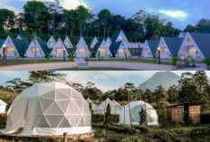 Melangkah ke Keindahan Alam: 5 Pilihan Glamping Estetik di Jogja