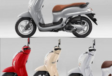 Desain Baru dan Warna Lebih Berani, Honda Scoopy Street 2026 Bikin Heboh