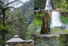 Curug Cibeureum, Petualangan dan Keindahan Alam dalam Satu Tempat!