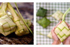Wisata Kuliner Ketupat, Menguak Keunikan Rasa dan Kisah di Balik Setiap Jenis Ketupat Khas Indonesia
