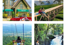 10 Rekomendasi Tempat Wisata Bogor Terkenal dengan Kesejukan dan Keasrian Alam, Dijamin bikin Otak Segerrr!