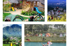 Yuk Intip! 7 Referensi Destinasi Wisata di Sentul Bogor, Salahsatunya Richie The Farmer Sentul 