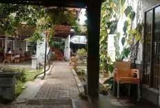 Rumah Makan Kebanjiran Pengunjung 