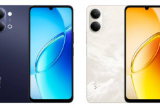 Harga Terbaru Vivo Y6C Juli 2026, Masih Layak Dibeli? Simak Spesifikasi dan Banderol Terbarunya!