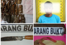 Petani Nekat Curi Kulit Kayu Manis dan Lukai Pemilik Kebun