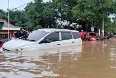 Inilah Kiat Aman Untuk Memastikan Kesehatan Mobil Setelah Terendam Banjir, Berikut Penjelasannya!