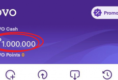 Baca Novel Sambil Tiduran? Saldo OVO Kamu Bisa Meledak Rp500 Ribu Sehari!