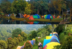 Paling Populer! 6 Rekomendasi Tempat Camping di Bogor 