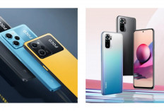 Obral Spek Gede! Daftar 4 HP Xiaomi RAM 8 GB Harga 1 Jutaan yang Paling Worth It Maret Ini