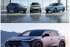 Juara Mobil Listrik Terlaris 2026 Ini Bikin Geleng-Geleng Kepala, Kok Bisa Sukses Kudeta Pasar?