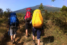 Agar Selamat saat Tersesat di Gunung, Ikuti 10 Tips Bertahan Hidup Berikut