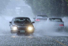 Biar Aman, Ini Tips Mengemudi Mobil Jarak Jauh Saat Hujan Deras, Cek Penjelasannya Disini!