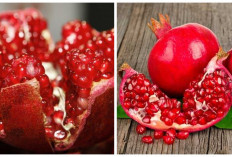 Manfaat Buah Delima yang Sayang untuk Dilewatkan!