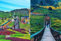 5 Destinasi Wisata Bandung Paling Hits dan Booming yang Wajib Dikunjungi saat Liburan Akhir Tahun 2024! 