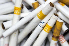 Kandungan Berbahaya dalam Rokok Kretek 4 Dampak Buruknya bagi Kesehatan Anda