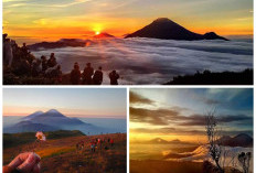 Ini Waktu Tepat Menikmati Golden Sunrise dari Puncak Gunung Prau. Keindahan Matahari Terbit Terindah.