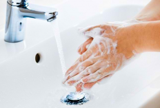 Ampuh Mana? Sabun Biasa vs Antiseptik untuk Kudis – Nomor 3 Bikin Kaget!