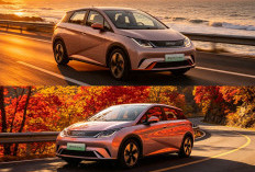 BYD Dolphin G DM-i Resmi Hadir: Versi PHEV dari Dolphin dengan Harga Mulai Rp 600 Jutaan