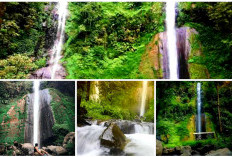 Bikin Betah dan Nyaman! Ternyata Ini Keunikan Air Terjun Tancak Kembar Bondowoso