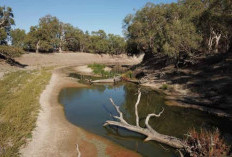 Misteri Sungai Menghilang, Keajaiban Alam Australia yang Membingungkan