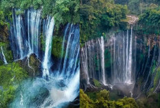 5 Tempat Destinasi Wisata Air Terjun Yang Memukau! 