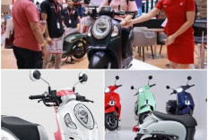 All New Honda Scoopy Siap Diluncurkan di IMOS 2024, Ini Dua Model Terbarunya!