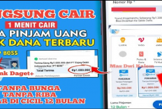 100% Legal dan Diawasi OJK! Pinjam Rp2 Juta di DANA Tanpa Perlu Dana Paylater