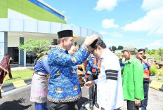 Dorong Pembangunan Sektor Industri